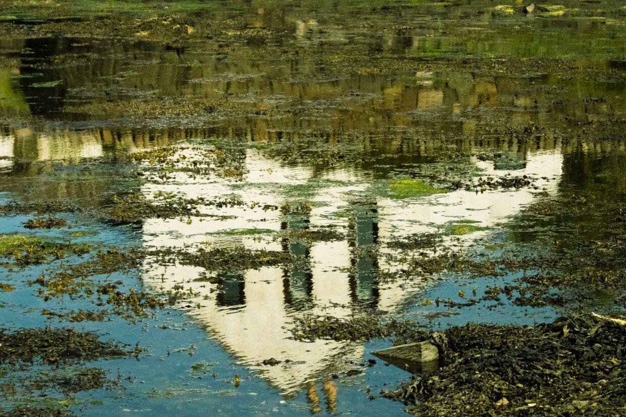 Reflection of a white house in the shallow, seaweed-covered waters of the Bay of Firth in Finstown, Orkney