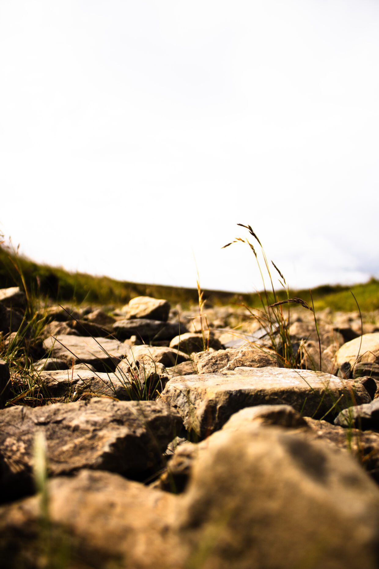 Low-angle view of sunlit rocks and grass along a path at Scorradale, Orkney, under a bright, overcast sky.
