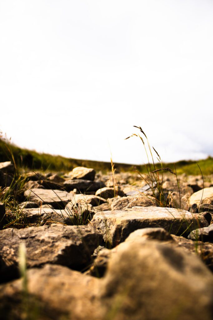 Low-angle view of sunlit rocks and grass along a path at Scorradale, Orkney, under a bright, overcast sky.